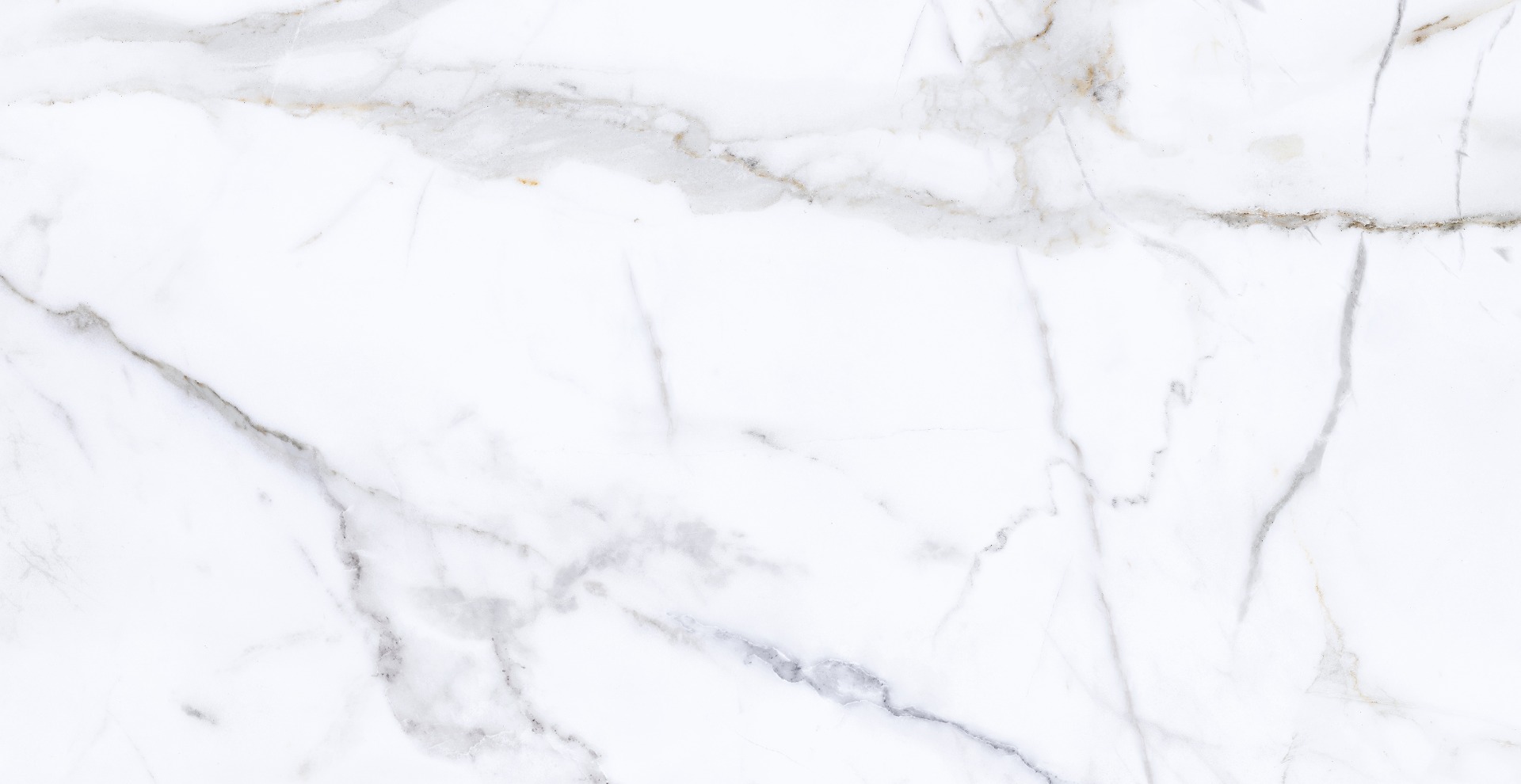 30X59 CERAMICO CALACATA GOLD BRILLO RECT ANGELGRES