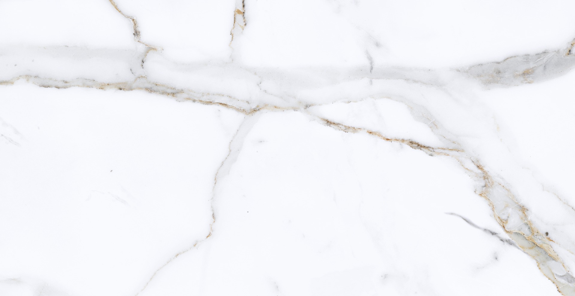 30X59 CERAMICO CALACATA GOLD BRILLO RECT ANGELGRES