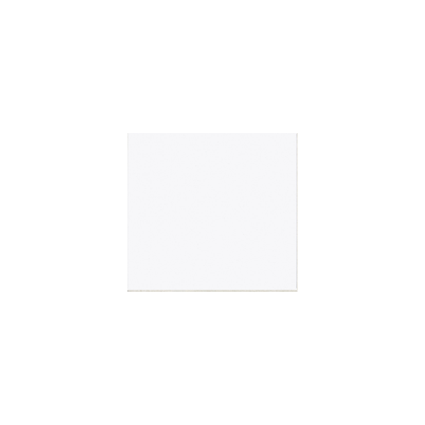 20X20 CERAMICO BRANCO PISCINA AC 1RA ELIANE