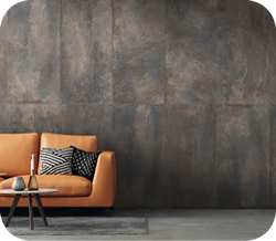 Porcellanatos Porcellanatos